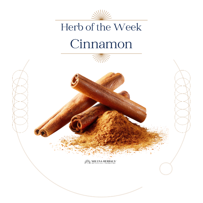 Herb of the Week: Cinnamon