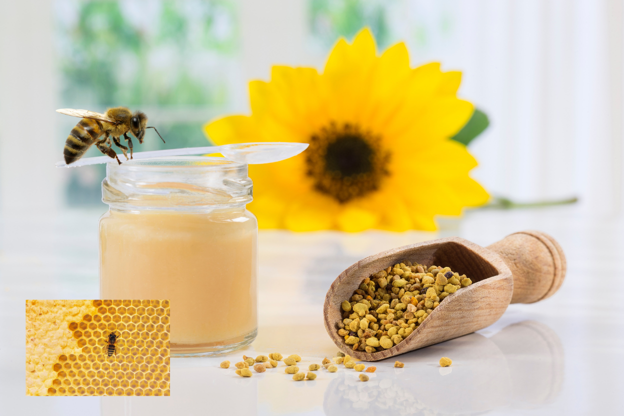 The Queen's Secret: Royal Jelly & 10H2DA